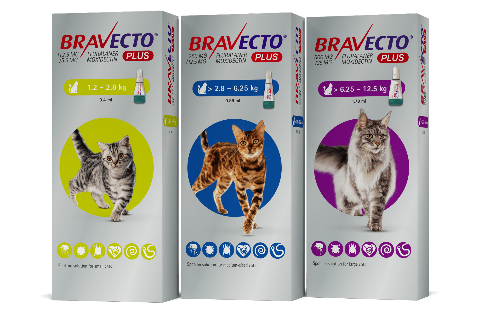 veterinary-insights-more-about-vector-borne-diseases