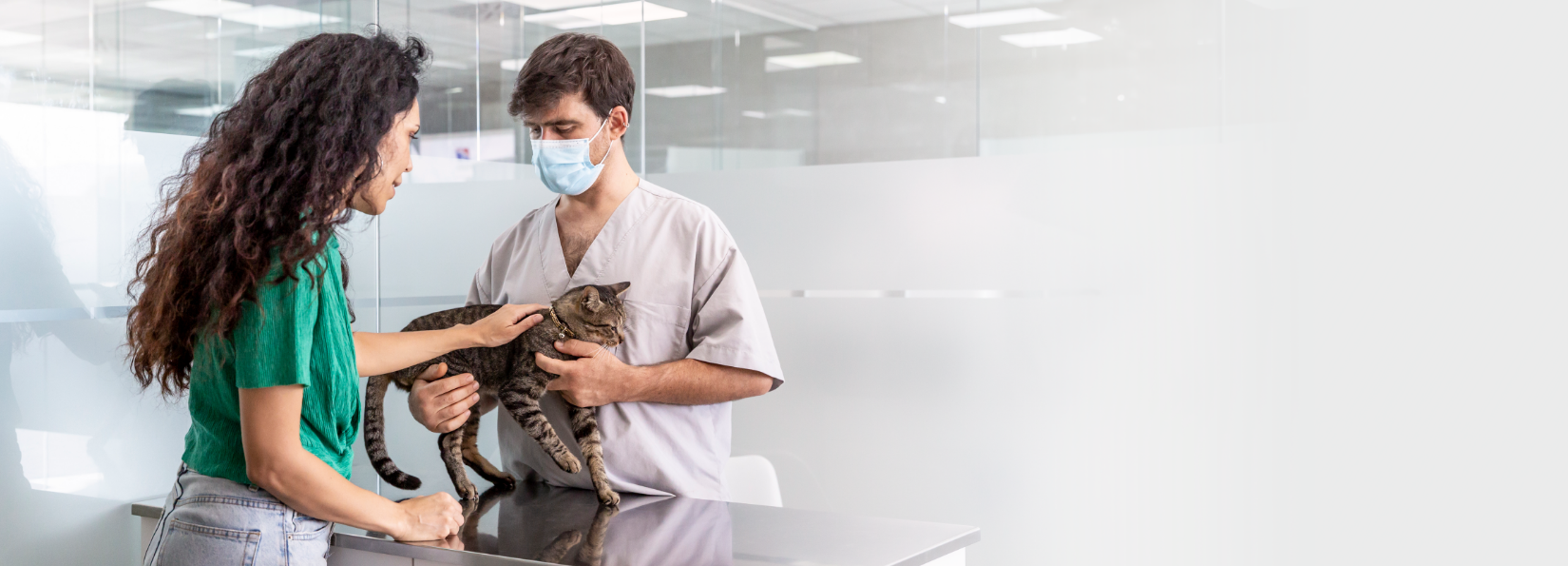 cat and owner with vet