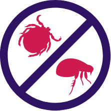fleas ticks killing icon