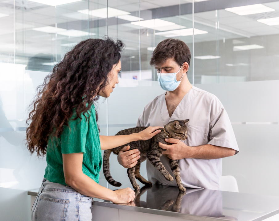 cat and owner with vet