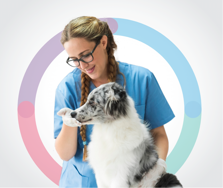 vet and dog cover