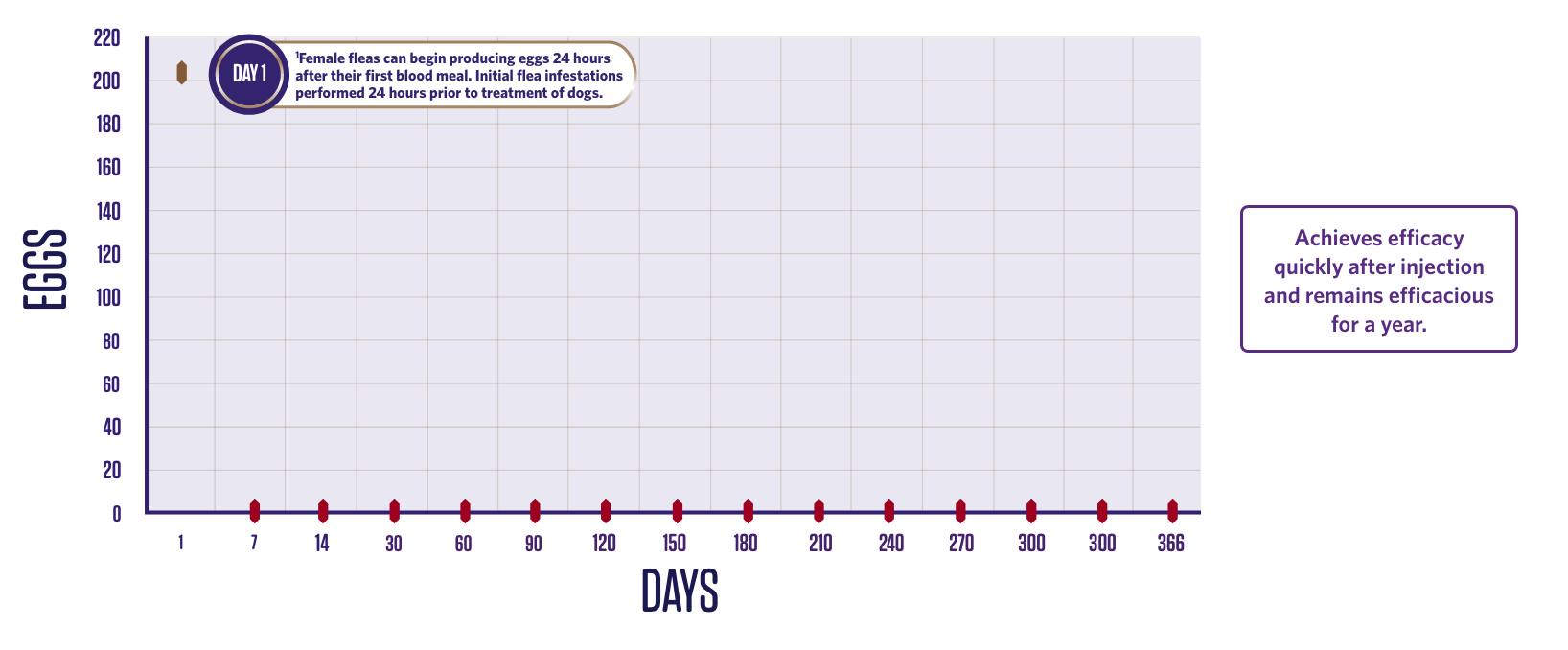 BRV Injectable Graphic 3