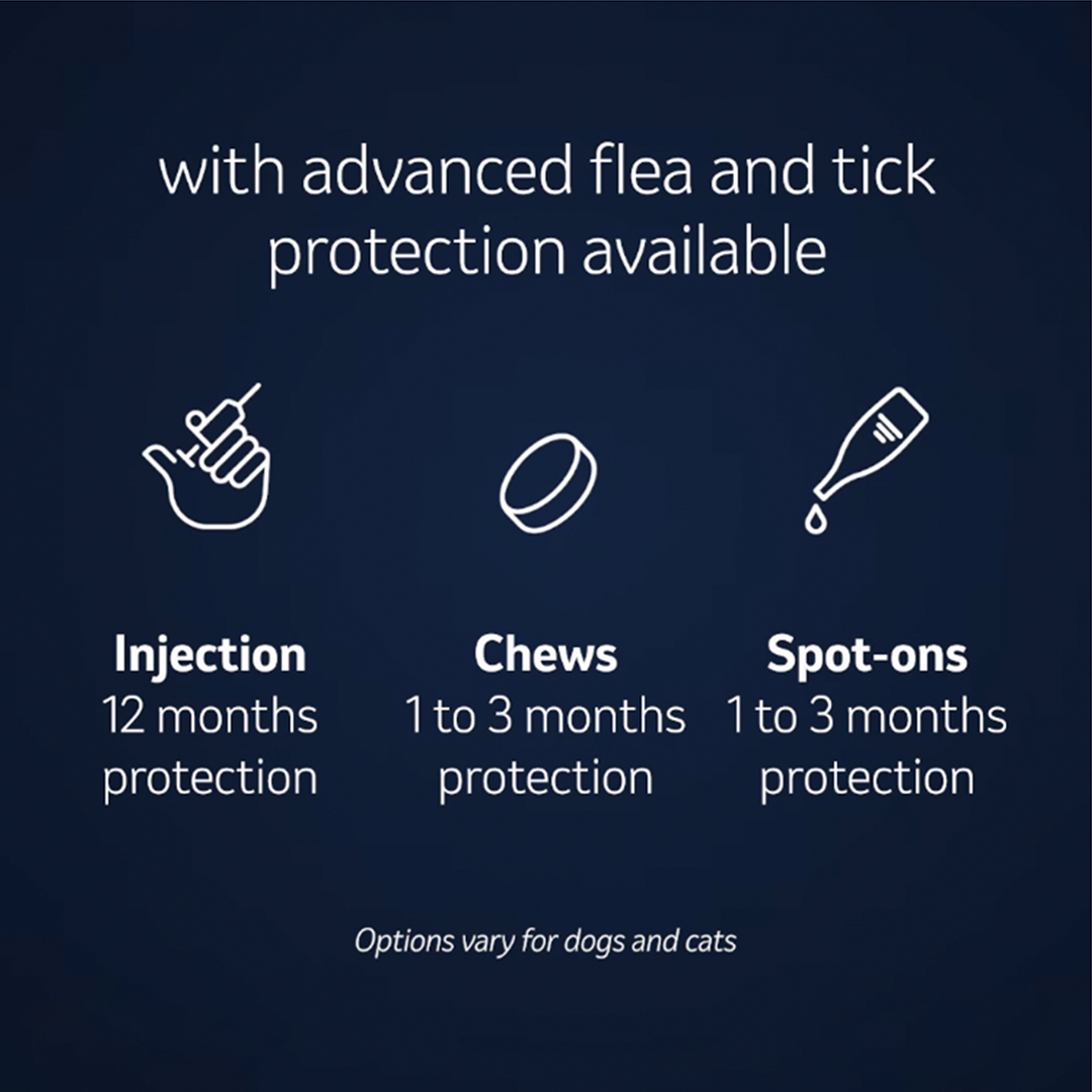 Bravovets I Am Protected video thumbnail.